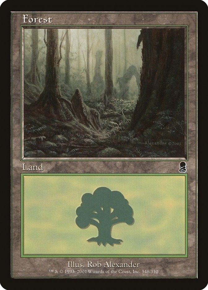 Magic: The Gathering MTG Single Forest (348) [Odyssey]