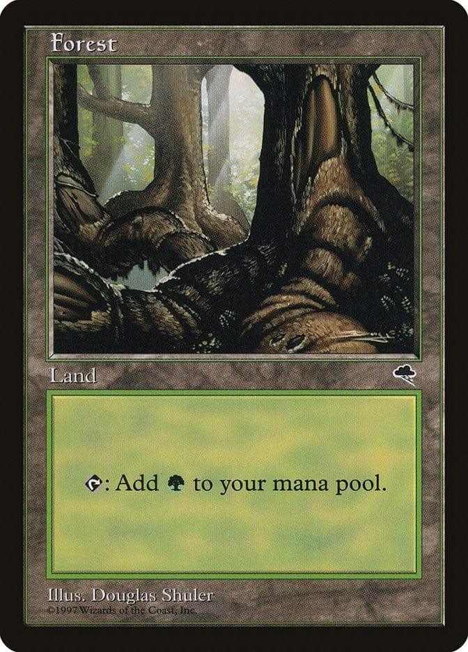 Magic: The Gathering MTG Single Forest (348) [Tempest]