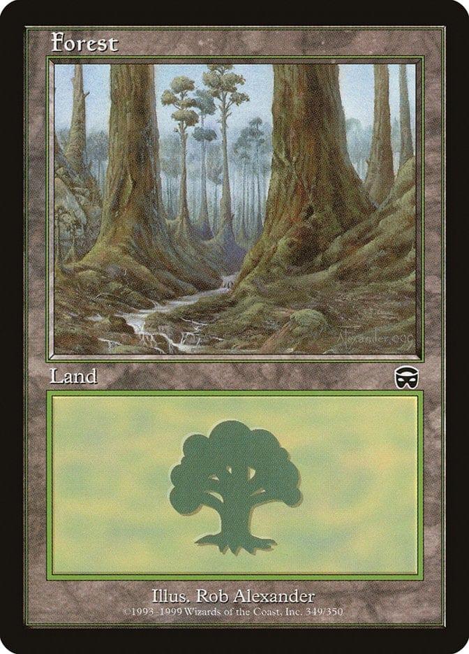 Magic: The Gathering MTG Single Forest (349) [Mercadian Masques]