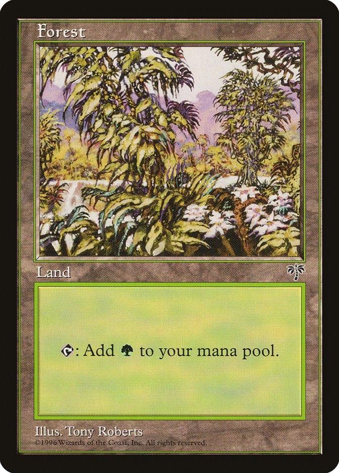 Magic: The Gathering MTG Single Forest (349) [Mirage]