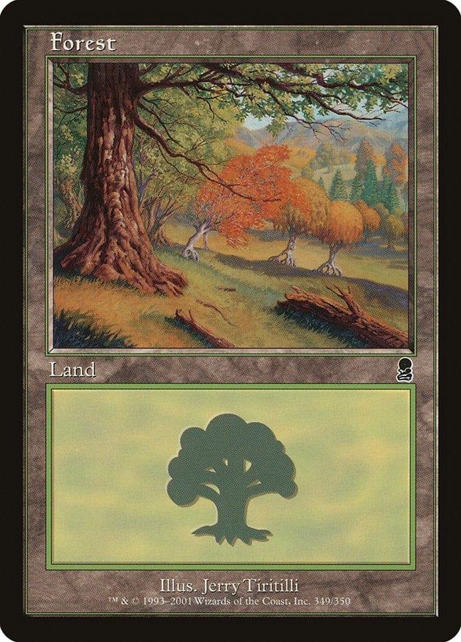 Magic: The Gathering MTG Single Forest (349) [Odyssey]