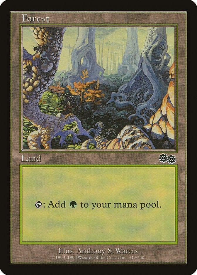 Magic: The Gathering MTG Single Forest (349) [Urza's Saga]