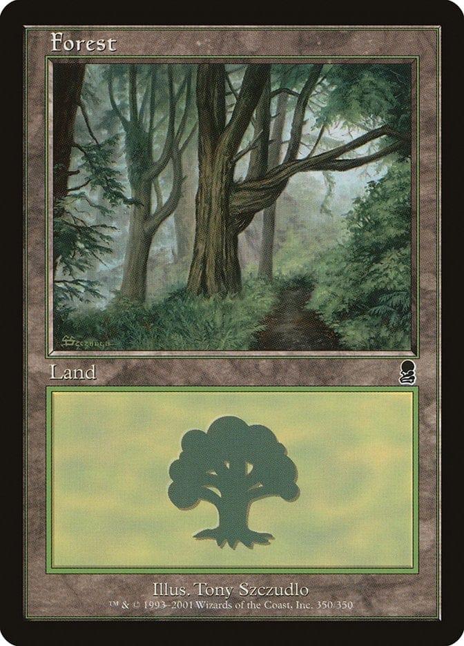 Magic: The Gathering MTG Single Forest (350) [Odyssey]