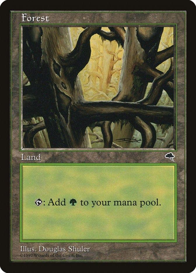 Magic: The Gathering MTG Single Forest (350) [Tempest]