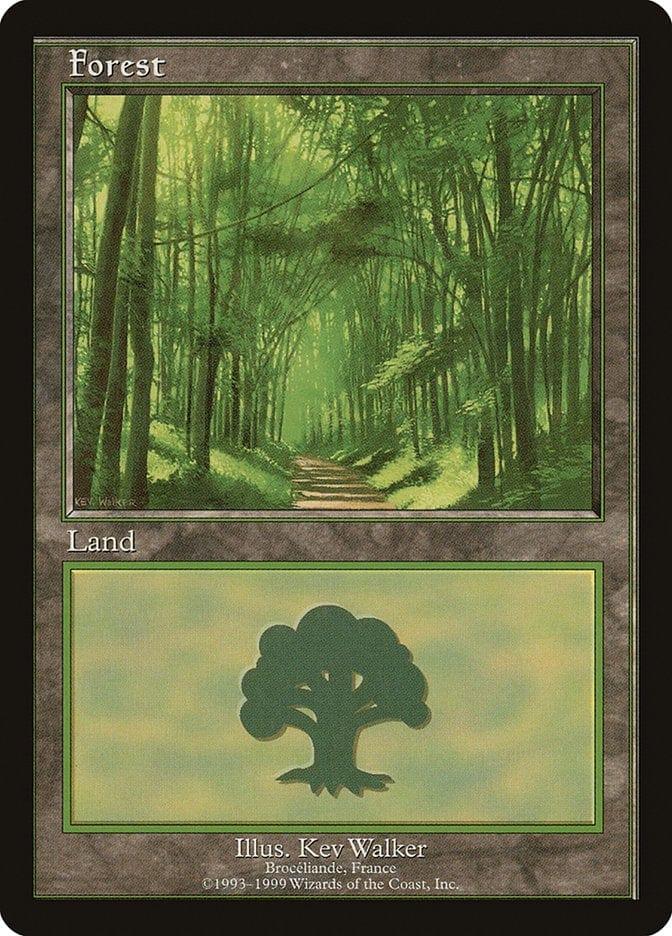 Magic: The Gathering MTG Single Forest (6) [European Land Program]