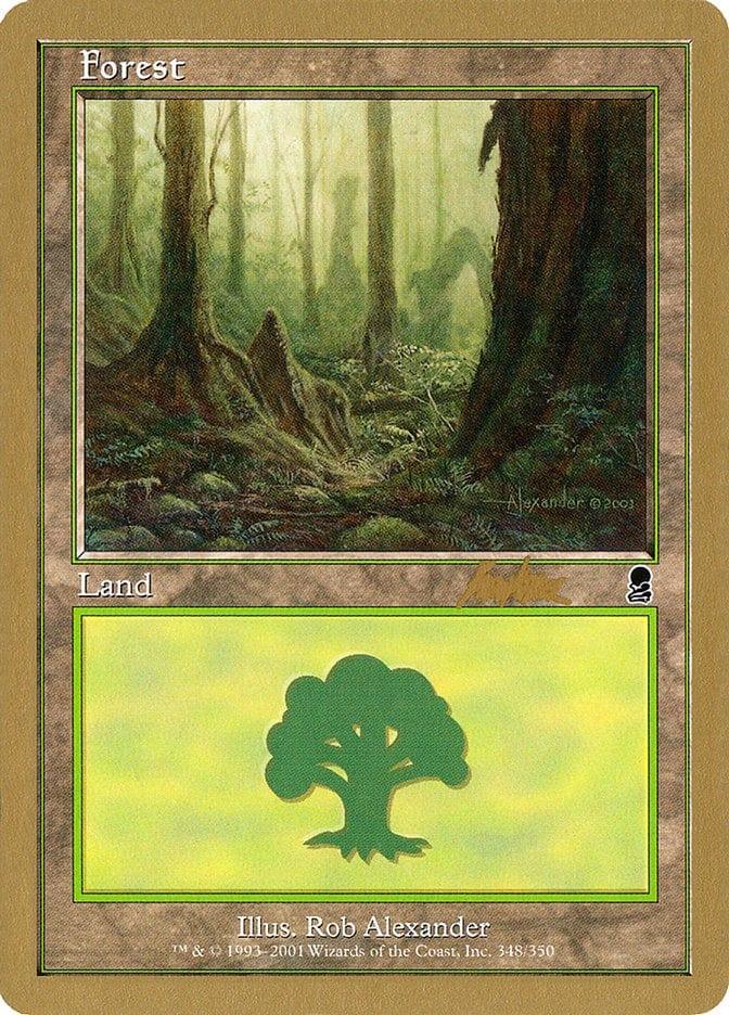 Magic: The Gathering MTG Single Forest (bk348) [World Championship Decks 2002]