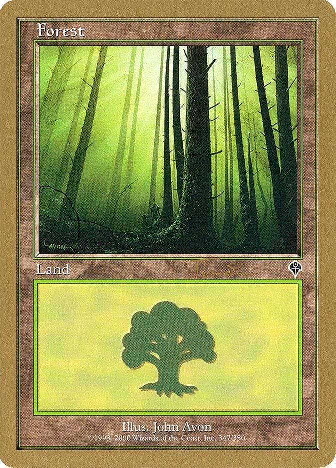Magic: The Gathering MTG Single Forest (jt347) (Jan Tomcani) [World Championship Decks 2001]
