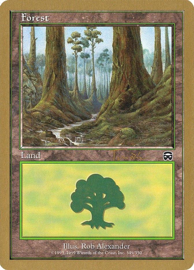 Magic: The Gathering MTG Single Forest (jt349) [World Championship Decks 2001]