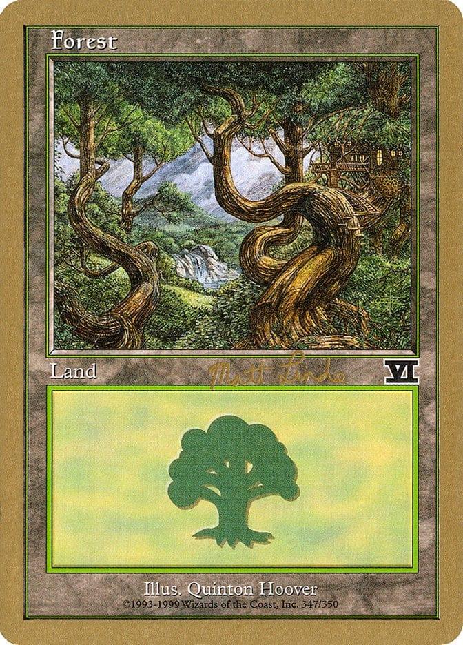 Magic: The Gathering MTG Single Forest (ml347b) [World Championship Decks 1999]