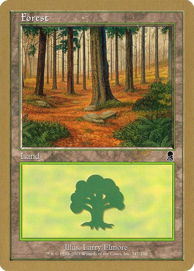 Magic: The Gathering MTG Single Forest (rl347) [World Championship Decks 2002]
