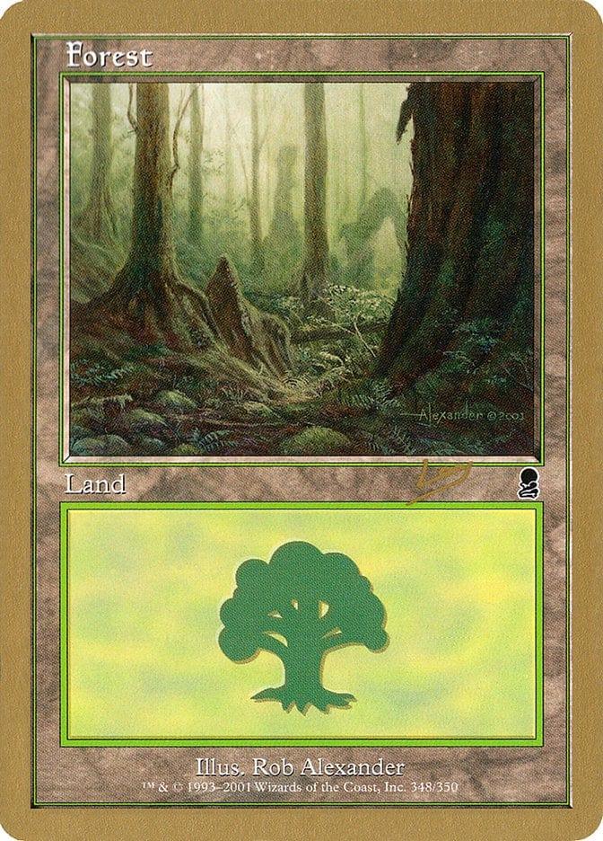 Magic: The Gathering MTG Single Forest (rl348) [World Championship Decks 2002]
