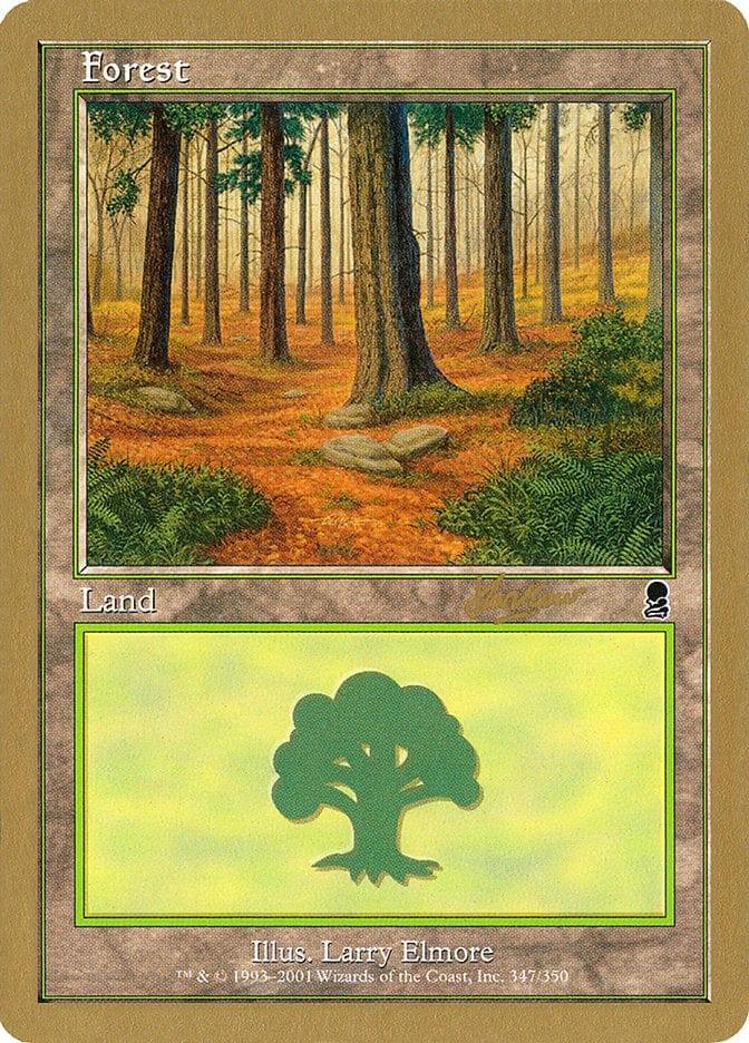 Magic: The Gathering MTG Single Forest (shh347) [World Championship Decks 2002]