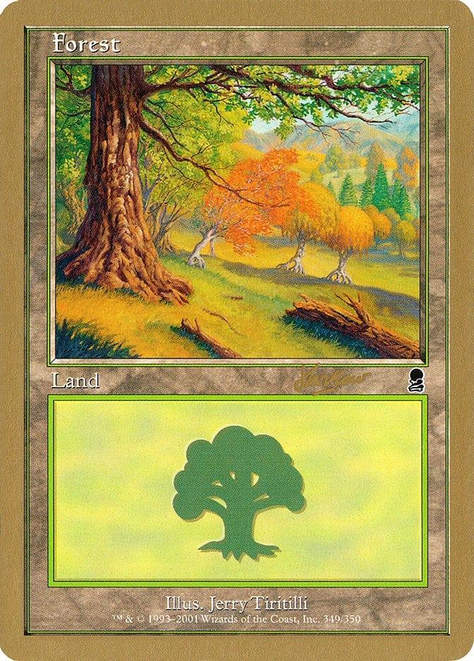 Magic: The Gathering MTG Single Forest (shh349) [World Championship Decks 2002]