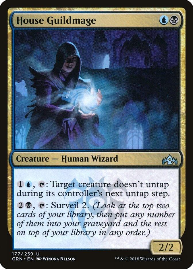 Magic: The Gathering MTG Single House Guildmage [Guilds of Ravnica]