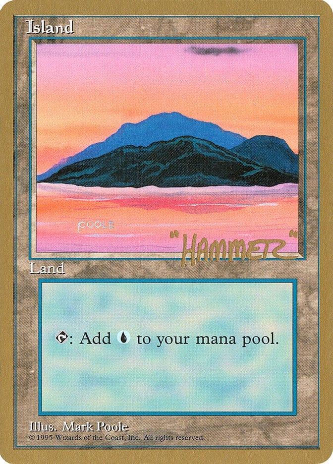 Magic: The Gathering MTG Single Island (shr369) [Pro Tour Collector Set]