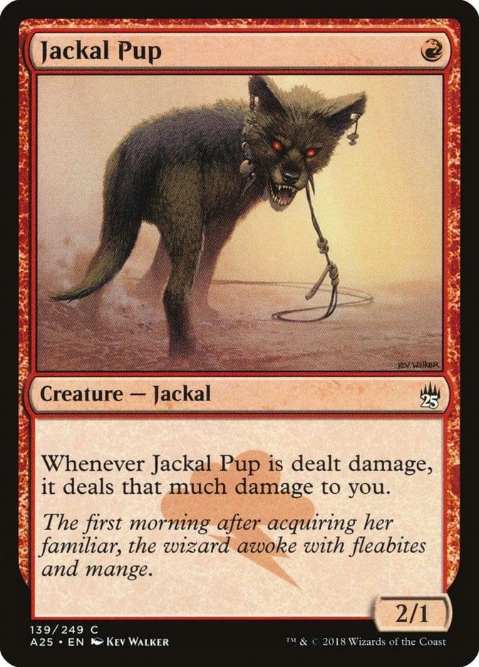 Magic: The Gathering MTG Single Jackal Pup [Masters 25]