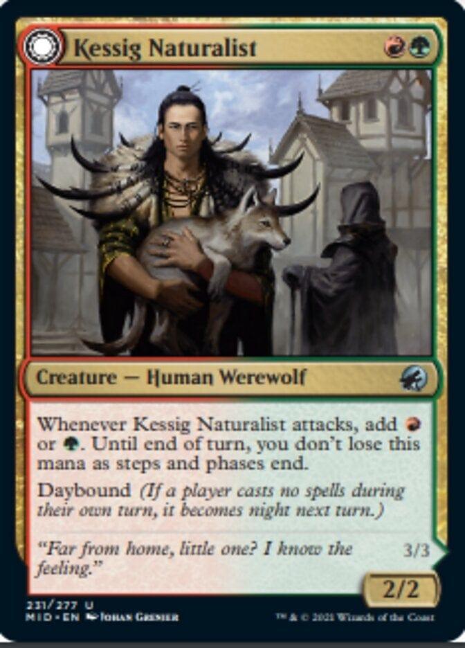 Magic: The Gathering MTG Single Kessig Naturalist // Lord of the Ulvenwald [Innistrad: Midnight Hunt]