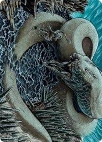 Magic: The Gathering MTG Single Koma, Cosmos Serpent 2 Art Card [Kaldheim: Art Series]