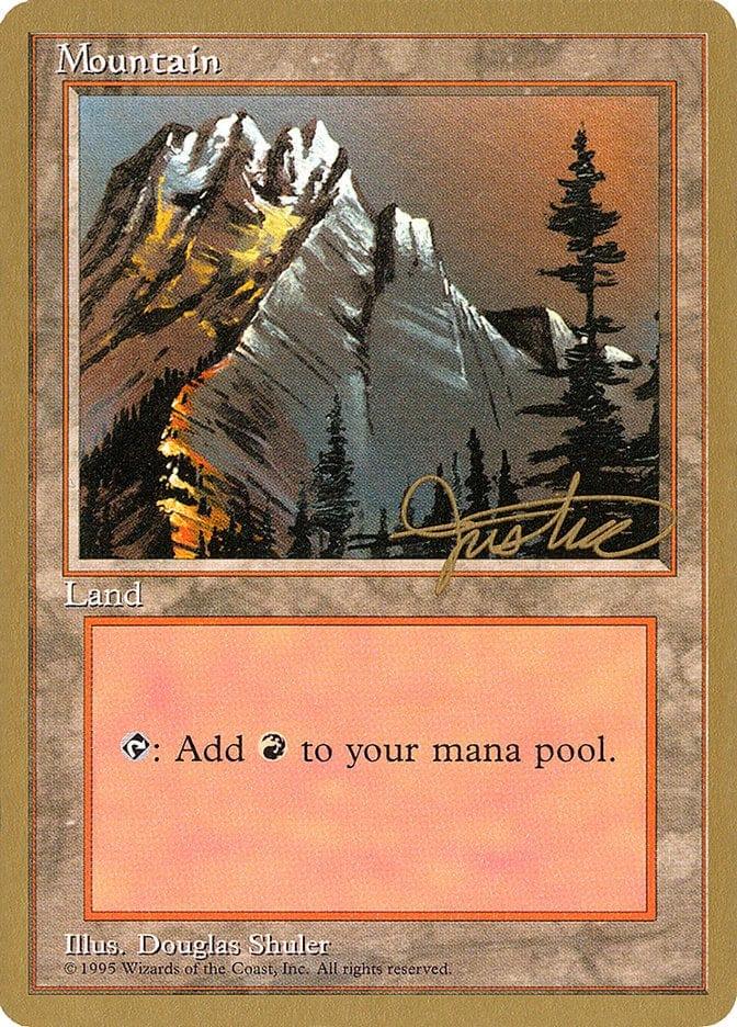 Magic: The Gathering MTG Single Mountain (mj373) [Pro Tour Collector Set]