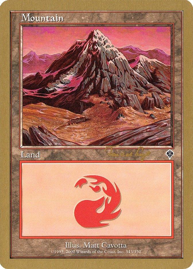 Magic: The Gathering MTG Single Mountain (tvdl343) [World Championship Decks 2001]