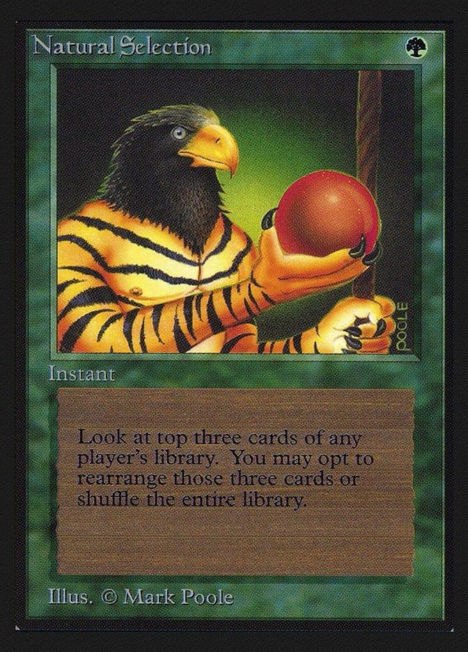 Magic: The Gathering MTG Single Natural Selection [Collectors’ Edition]