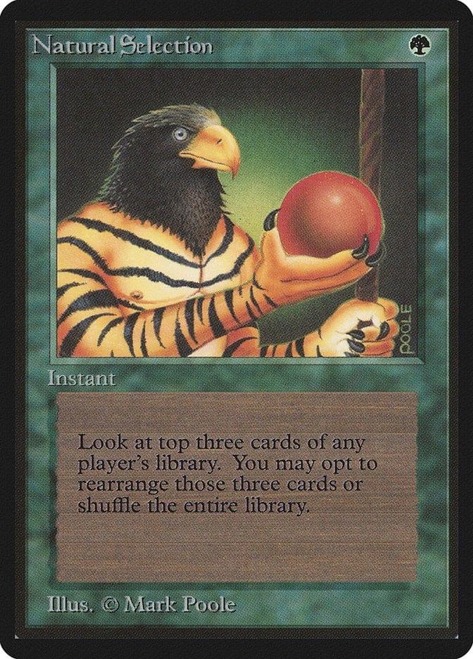Magic: The Gathering MTG Single Natural Selection [Limited Edition Beta]