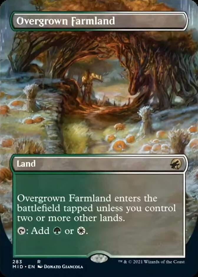 Magic: The Gathering MTG Single Overgrown Farmland (Borderless) [Innistrad: Midnight Hunt]
