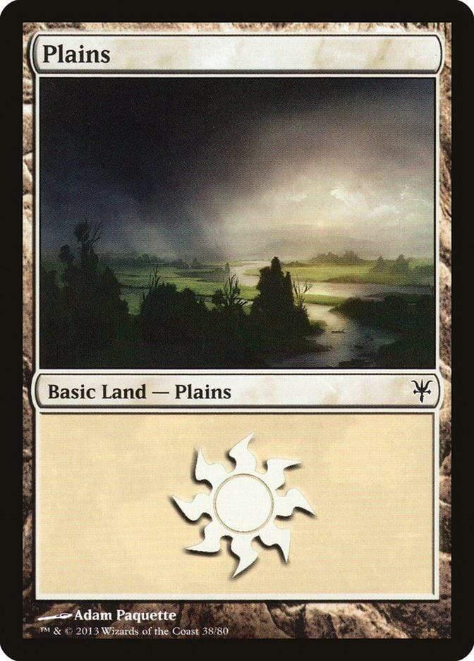 Magic: The Gathering MTG Single Plains (38) [Duel Decks: Sorin vs. Tibalt]