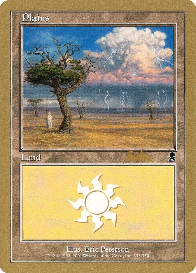 Magic: The Gathering MTG Single Plains (bk333) [World Championship Decks 2002]