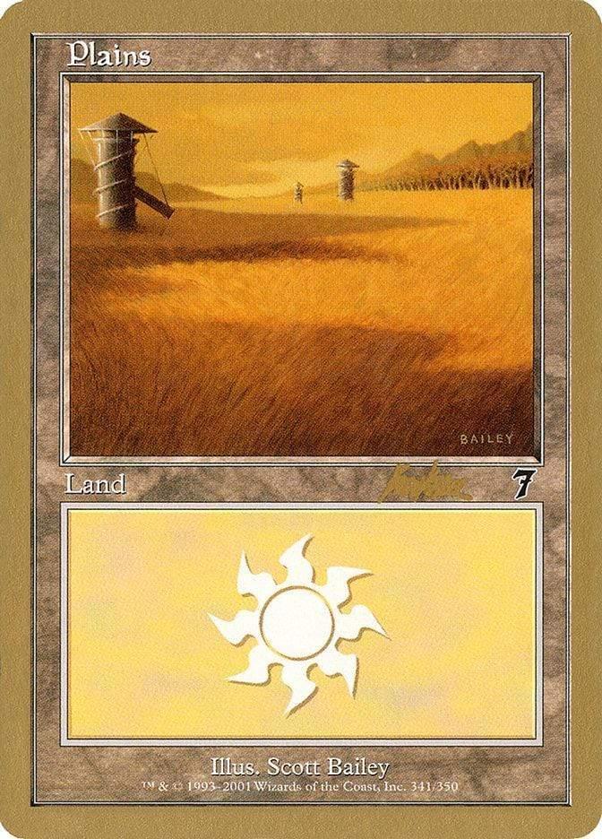 Magic: The Gathering MTG Single Plains (bk341) [World Championship Decks 2002]