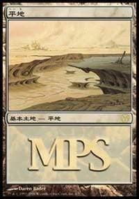 Magic: The Gathering MTG Single Plains - Time Spiral Cycle [Magic Premiere Shop]