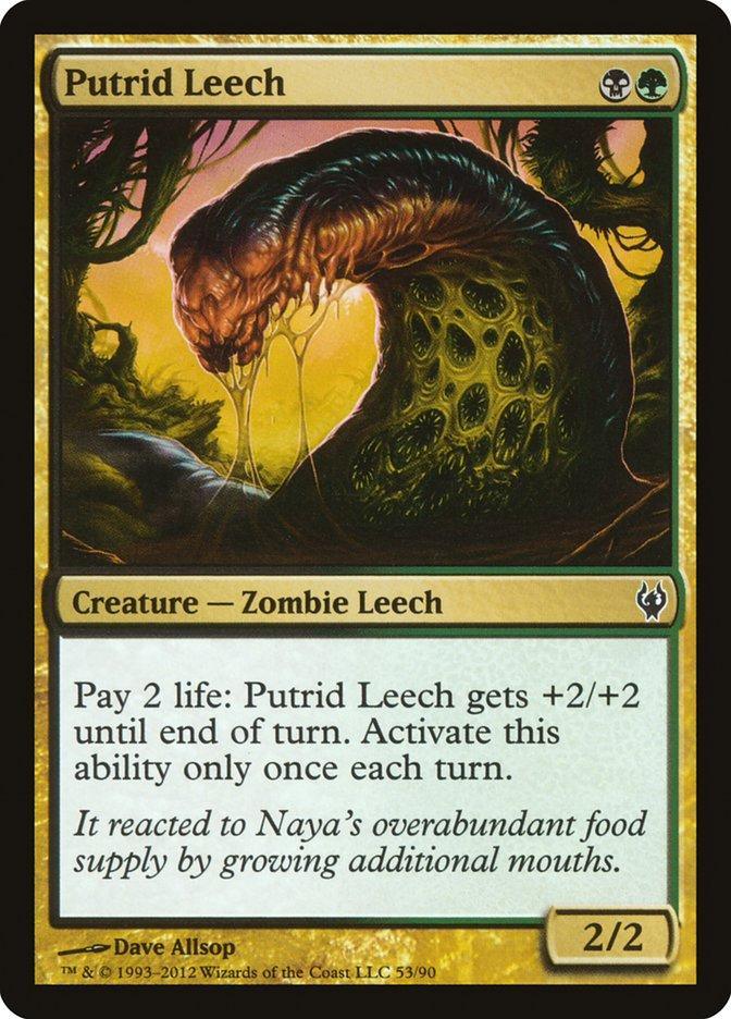 Magic: The Gathering MTG Single Putrid Leech [Duel Decks: Izzet vs. Golgari]