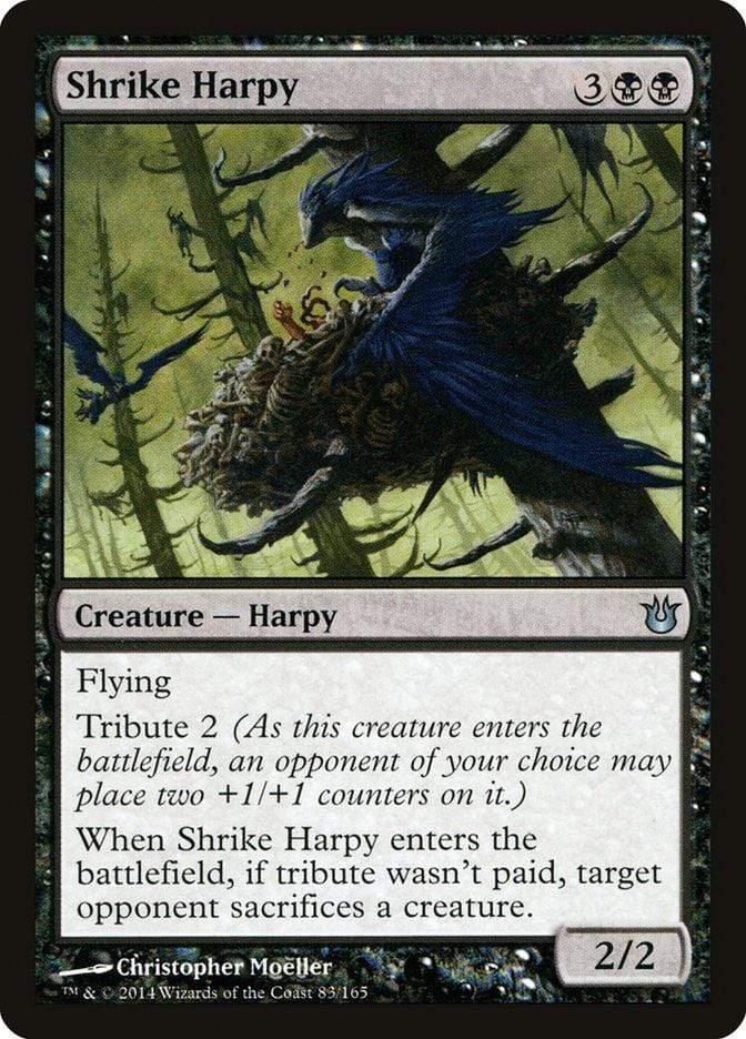 Magic: The Gathering MTG Single Shrike Harpy [Born of the Gods]