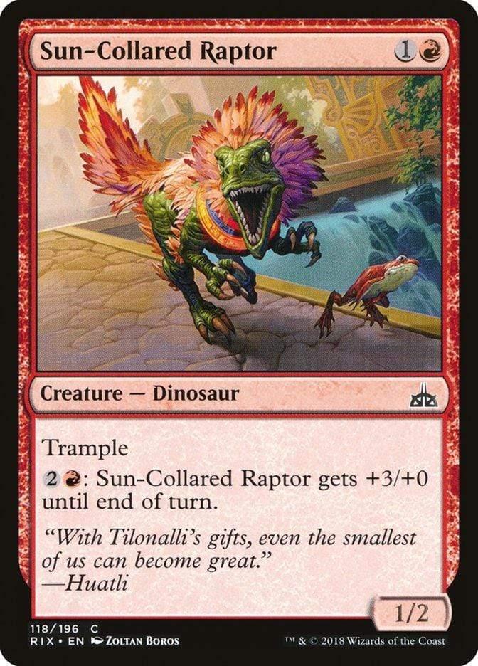 Magic: The Gathering MTG Single Sun-Collared Raptor [Rivals of Ixalan]