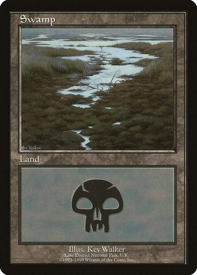 Magic: The Gathering MTG Single Swamp (10) [European Land Program]
