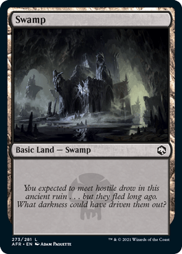 Magic: The Gathering MTG Single Swamp (273) [Dungeons & Dragons: Adventures in the Forgotten Realms]
