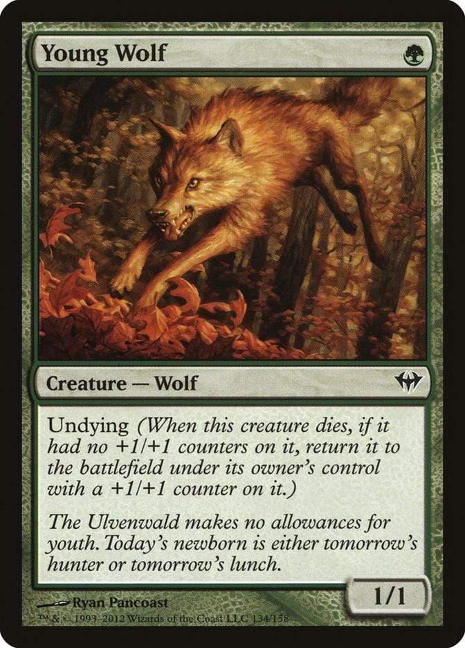 Magic: The Gathering MTG Single Young Wolf [Dark Ascension]